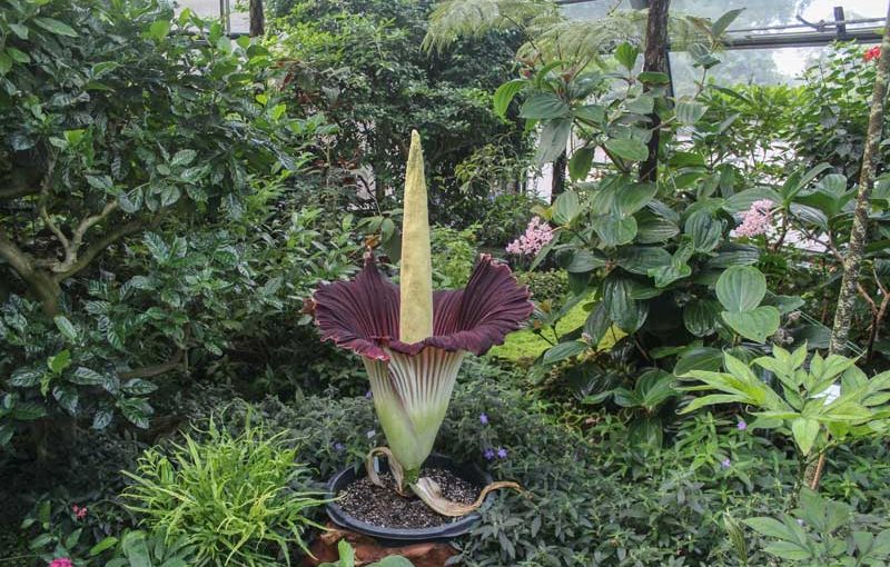 Wilhelma: Besucherzahl auf hohem Niveau stabilisiert